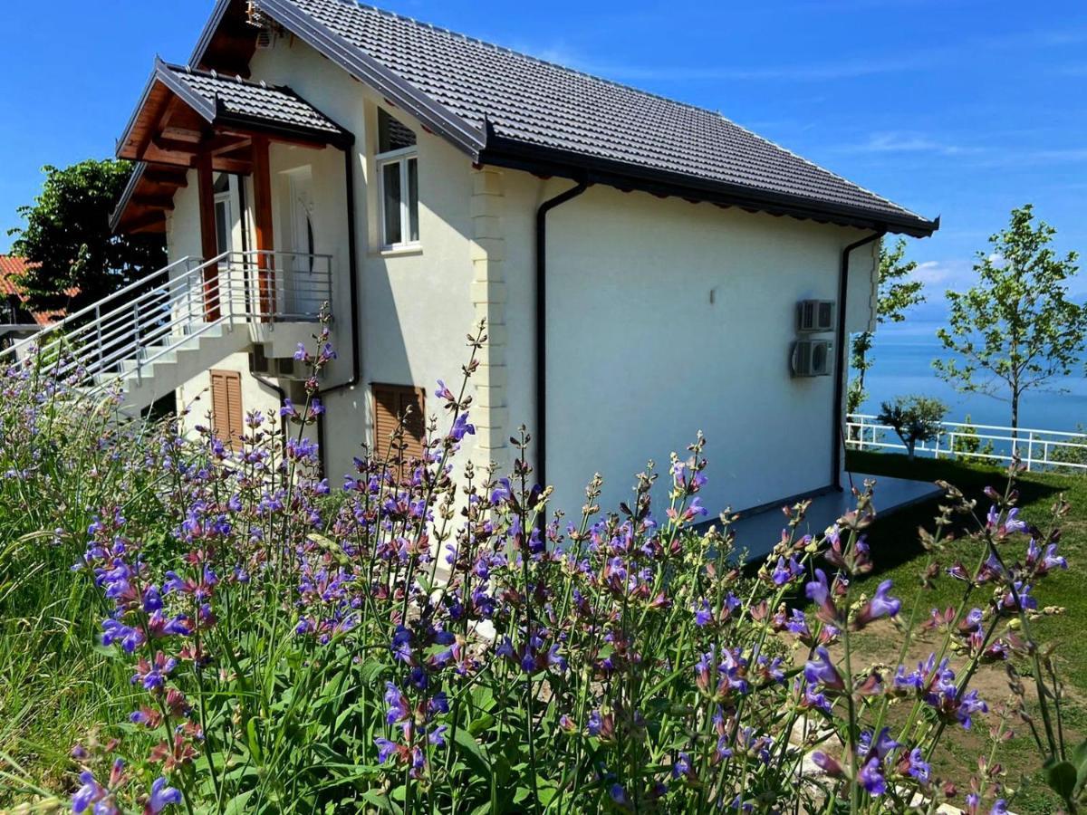 Xhuli Guesthouse Shkodër Extérieur photo