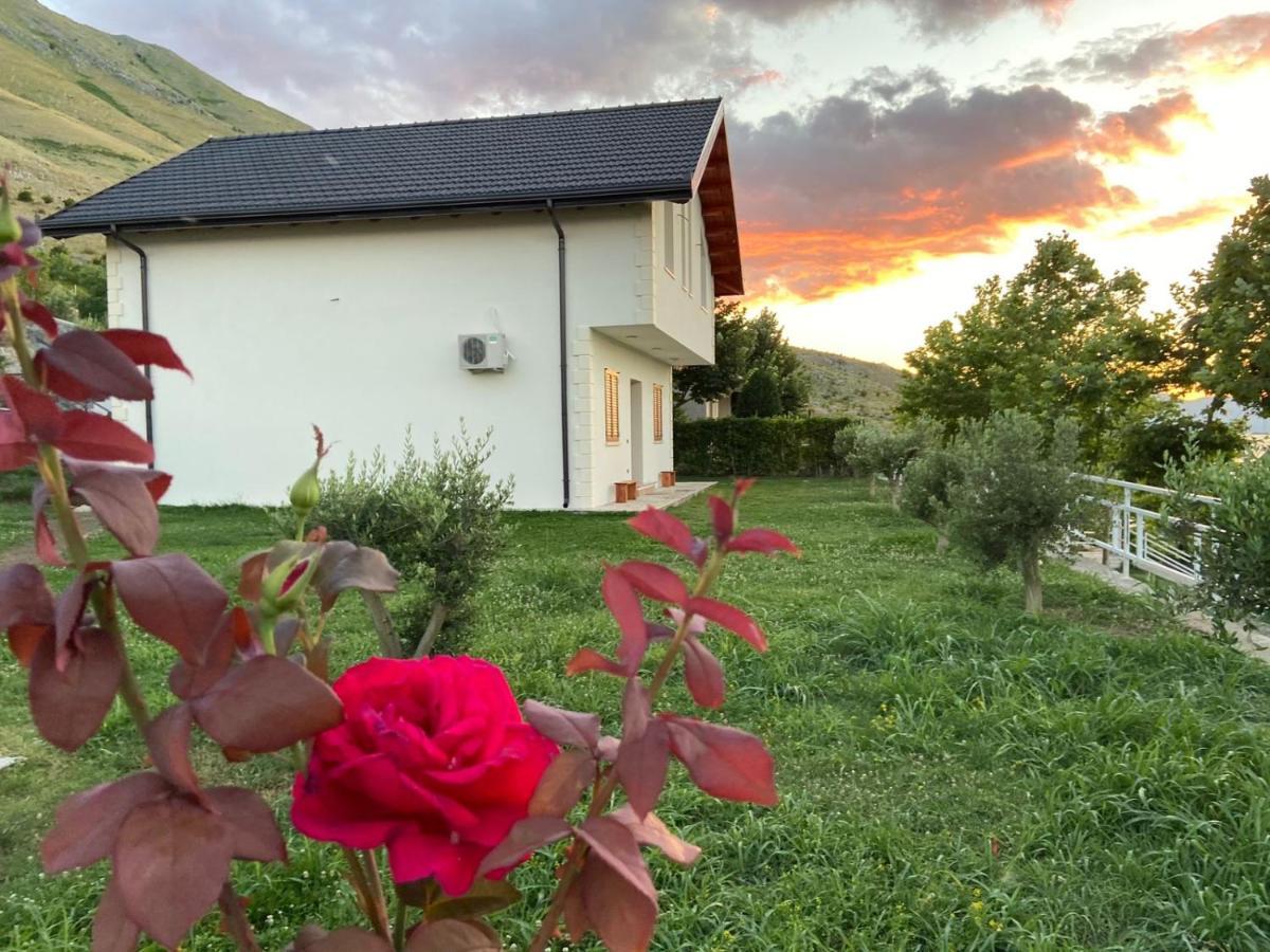 Xhuli Guesthouse Shkodër Extérieur photo