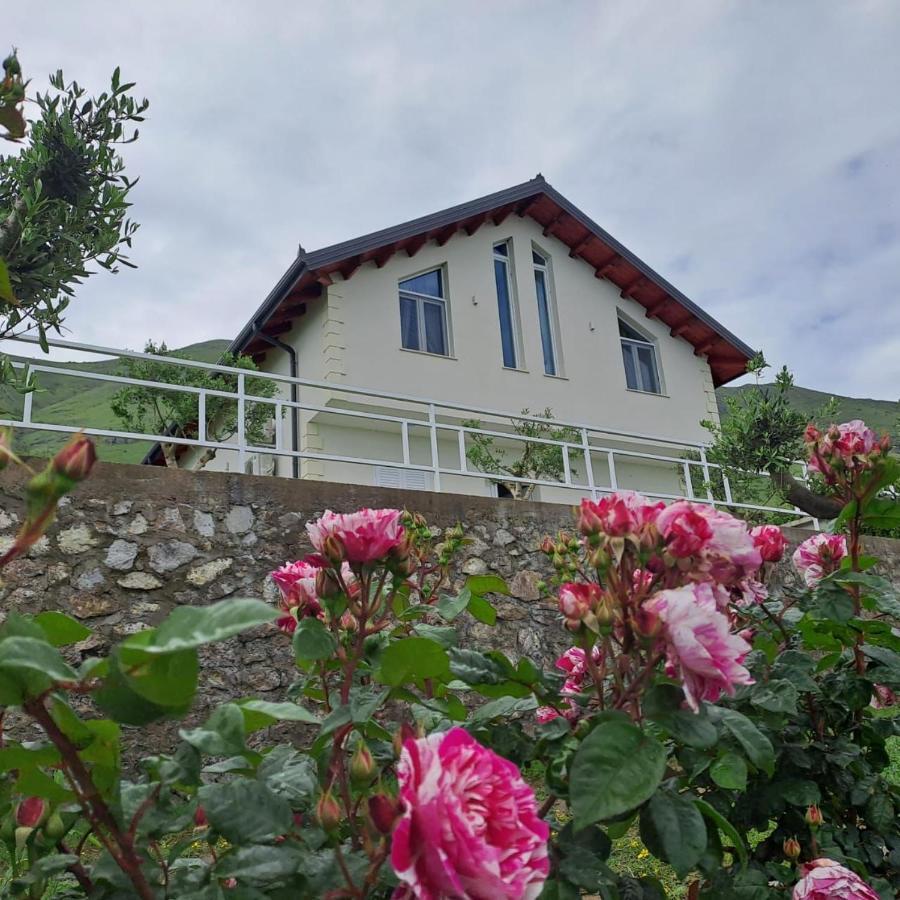 Xhuli Guesthouse Shkodër Extérieur photo