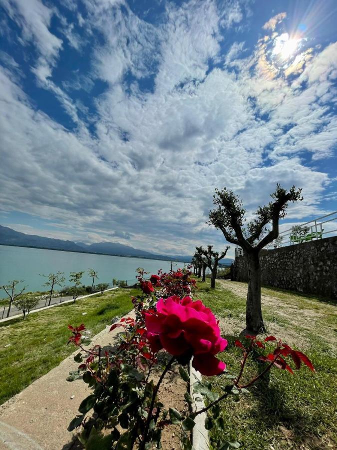 Xhuli Guesthouse Shkodër Extérieur photo